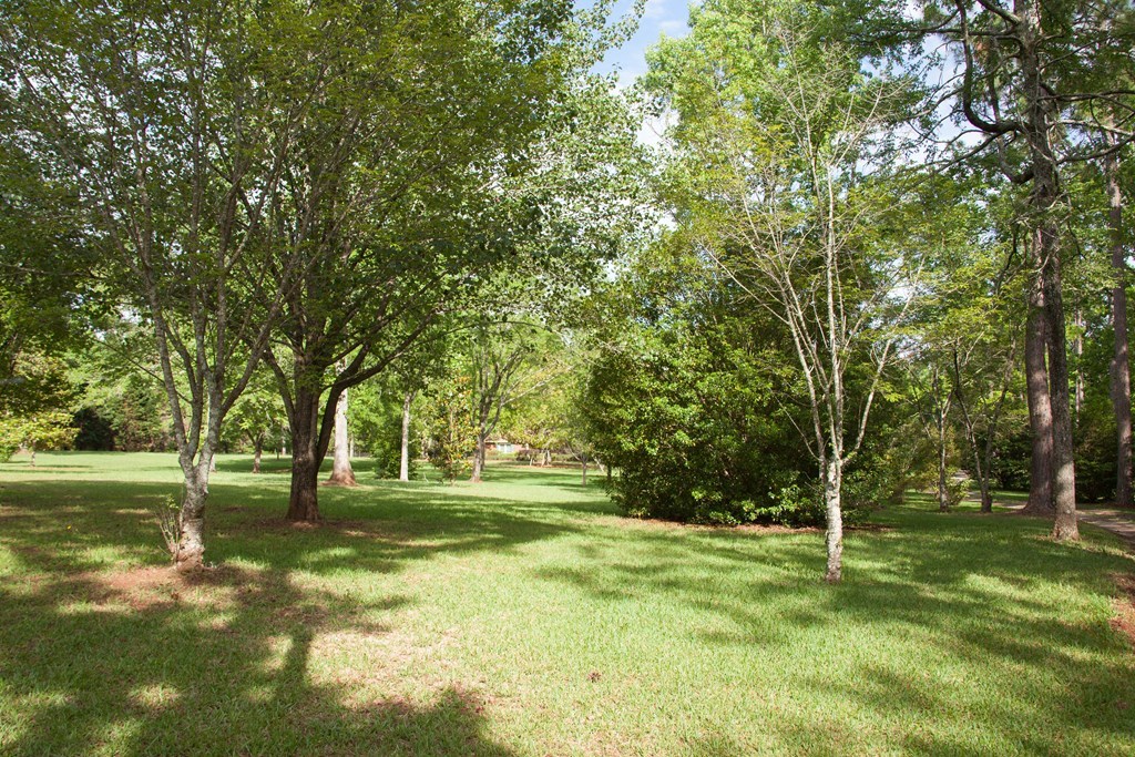 414 Homer Roberts Road Gray, GA 31032 - Photo 30 of 33 a view of a park with large trees