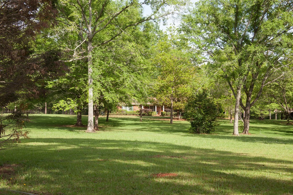 414 Homer Roberts Road Gray, GA 31032 - Photo 31 of 33 a view of a park with large trees