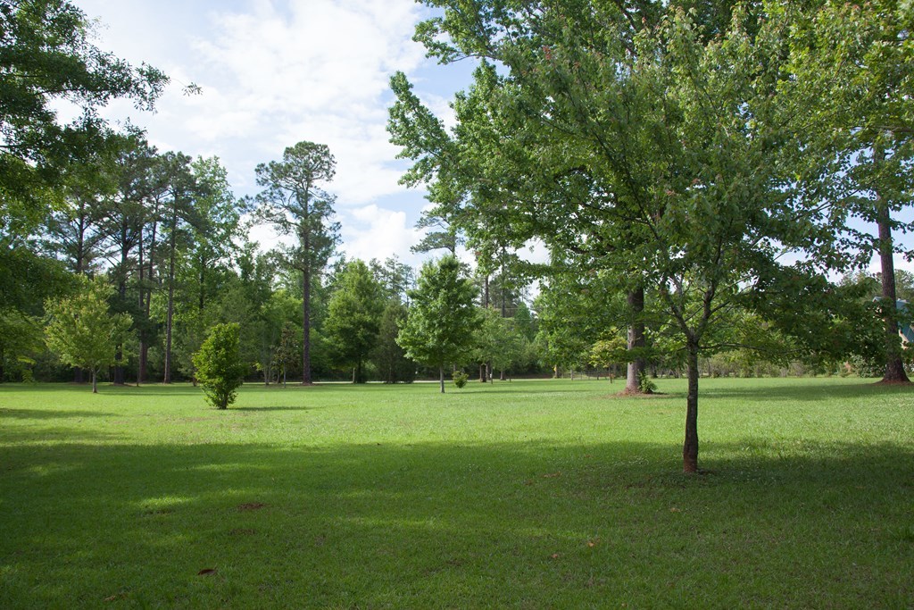 414 Homer Roberts Road Gray, GA 31032 - Photo 32 of 33 a view of a park with large trees