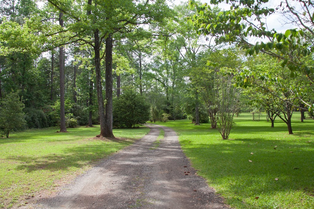414 Homer Roberts Road Gray, GA 31032 - Photo 33 of 33 a view of a park with trees in the background