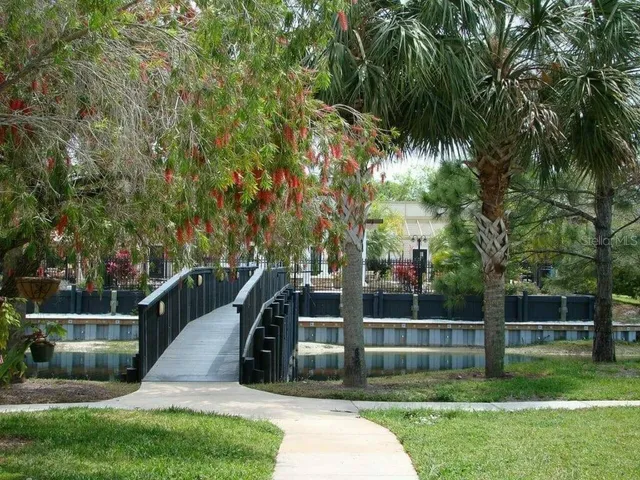 a view of a swimming pool with a lawn chairs