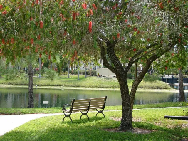 a living room with furniture and large windows