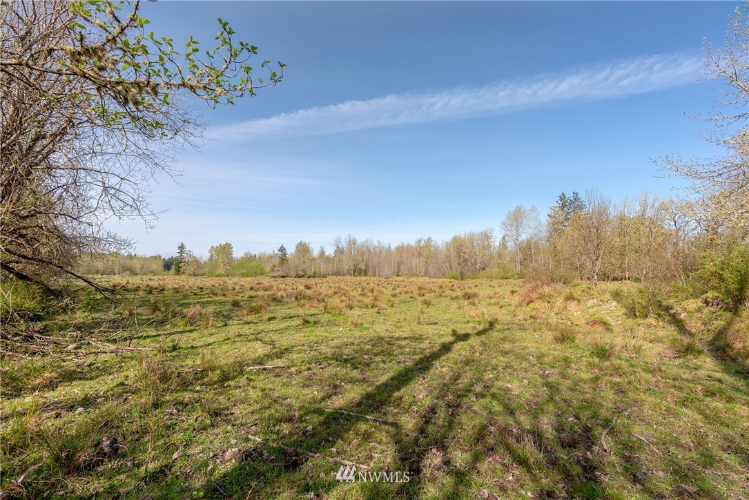 167 Hopp Road Toledo, WA 98591 - Photo 1 of 21