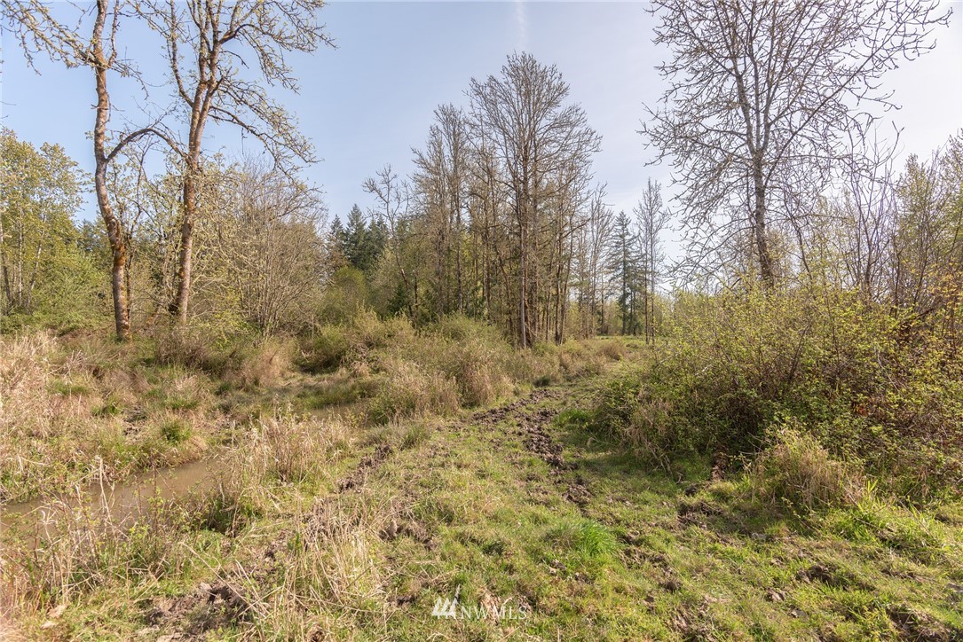 167 Hopp Road Toledo, WA 98591 - Photo 14 of 21