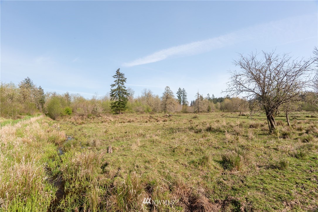 167 Hopp Road Toledo, WA 98591 - Photo 4 of 21