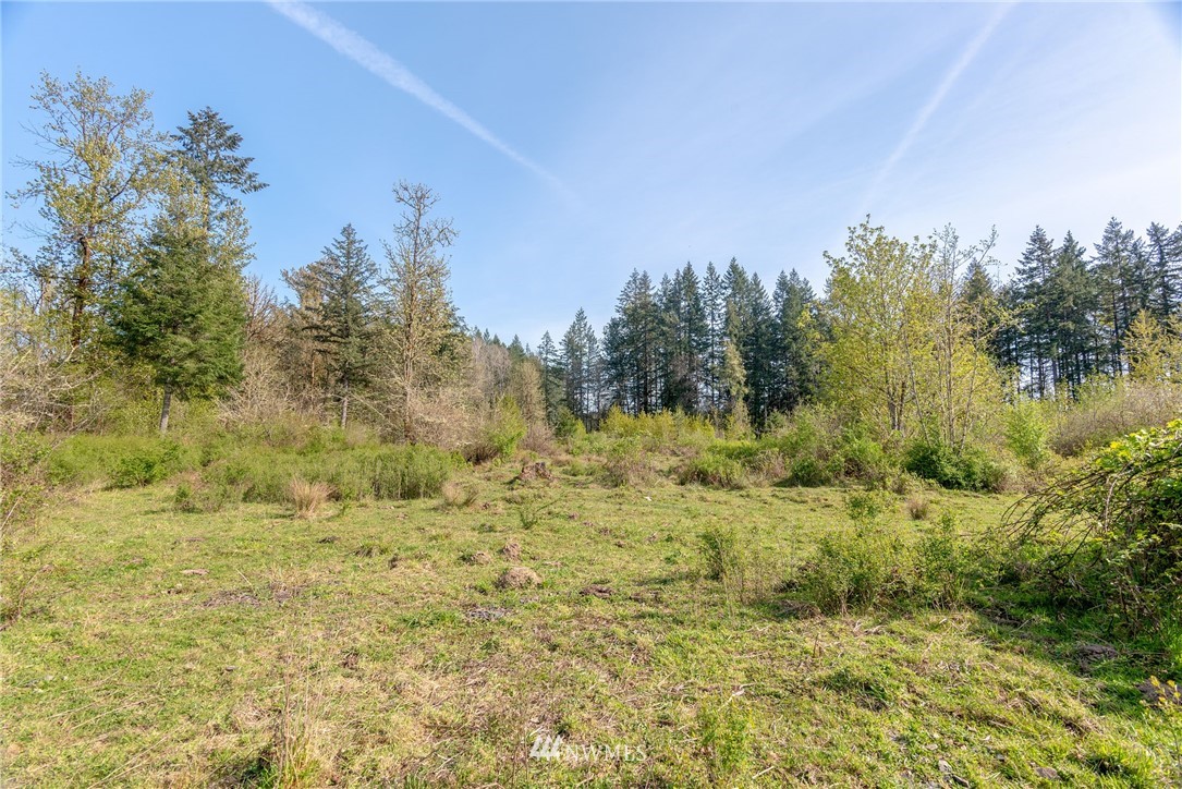 167 Hopp Road Toledo, WA 98591 - Photo 6 of 21