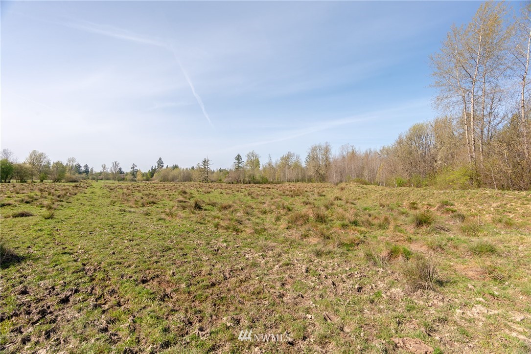 167 Hopp Road Toledo, WA 98591 - Photo 9 of 21