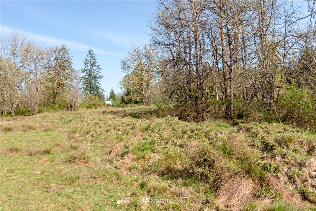 167 Hopp Road Toledo, WA 98591 - Photo 10 of 21