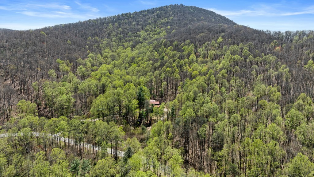 65 Caldwell Mountain Road Suches, GA 30572 - Photo 5 of 38 a view of a forest with a mountain