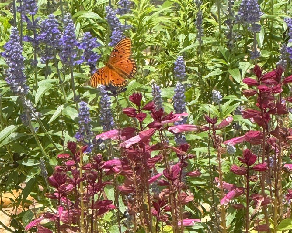 77 Apian Way Ormond Beach, FL 32174 - Photo 30 of 35 a picture of flowers