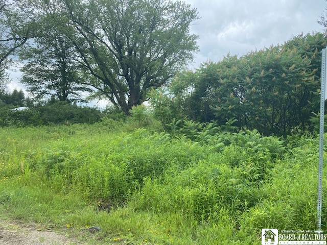 0 Hall Road Sinclairville, NY 14782 - Photo 1 of 1