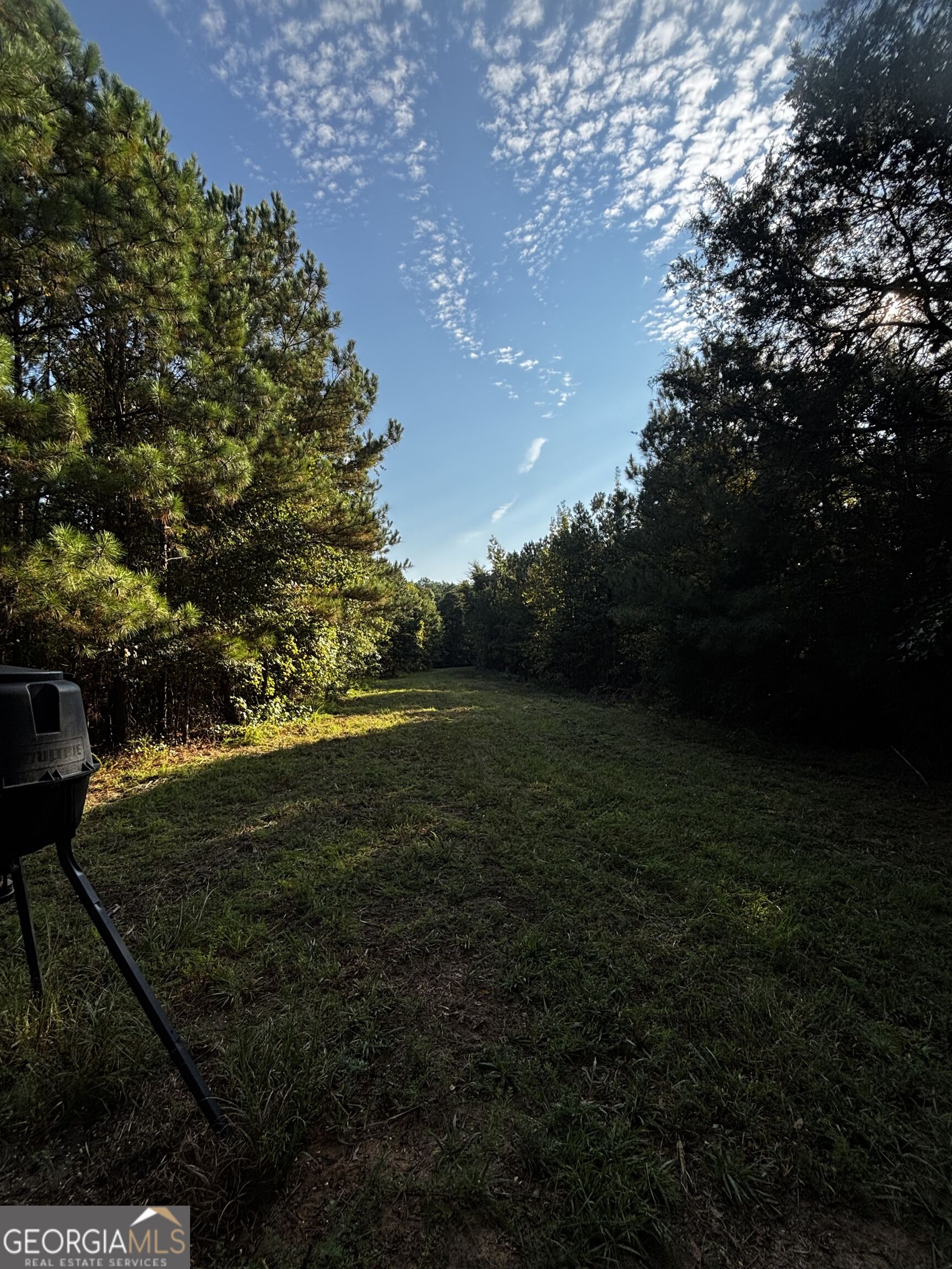 2807 Cedar Creek Road Elberton, GA 30635 - Photo 28 of 40 Gallery Image 28