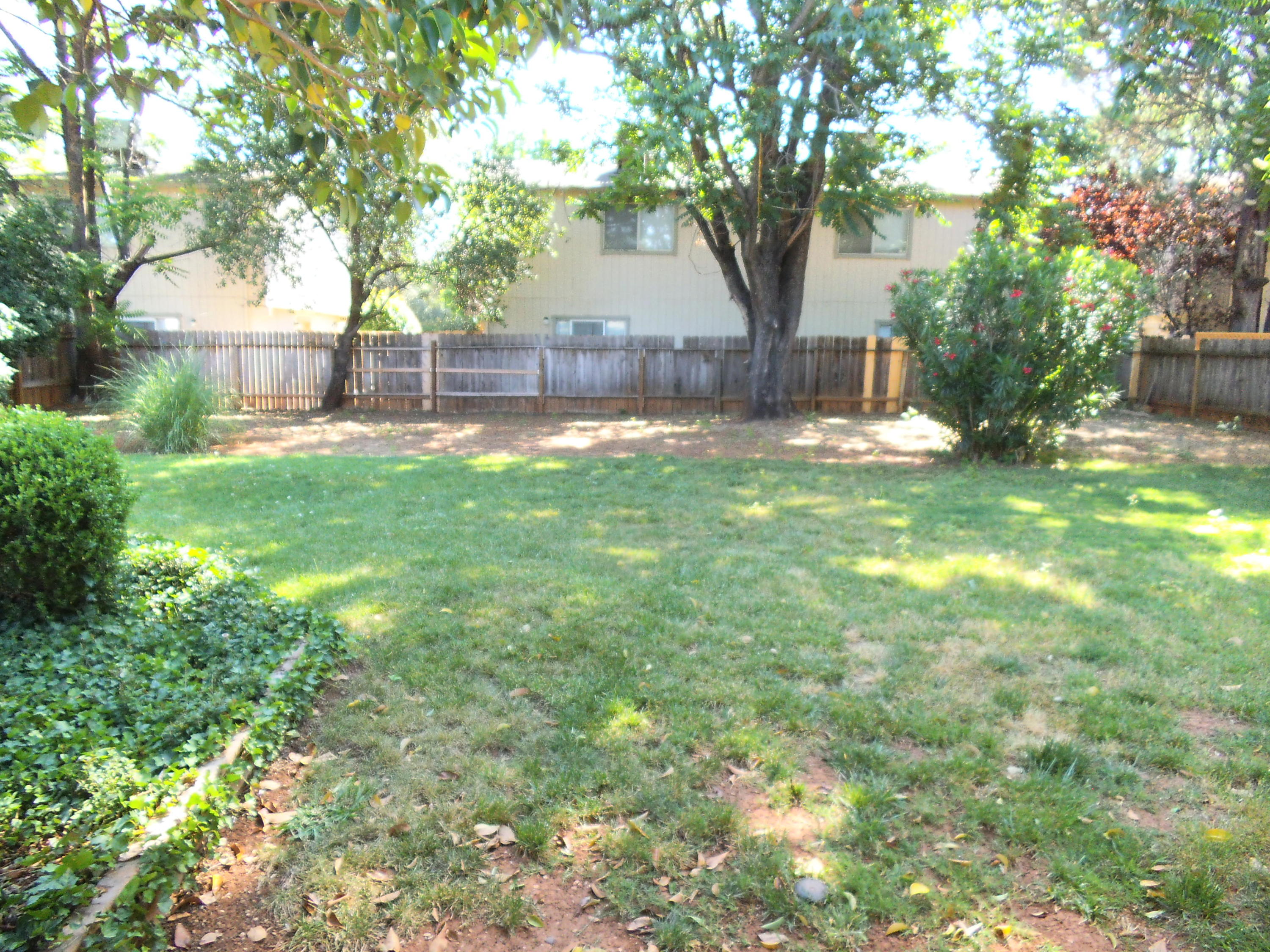 3607 Ricardo Avenue Redding, CA 96002 - Photo 13 of 20 a view of a yard with a large tree
