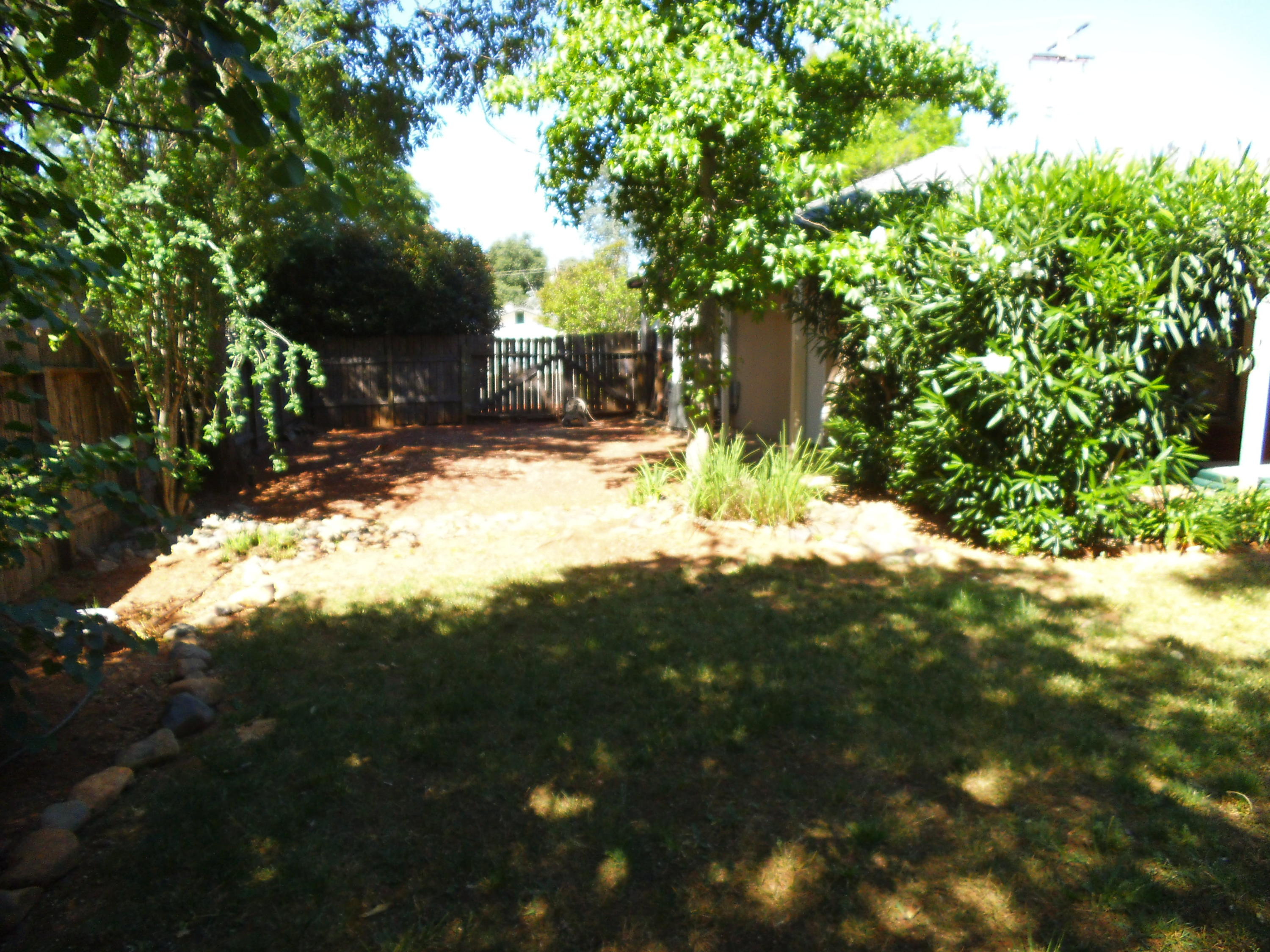 3607 Ricardo Avenue Redding, CA 96002 - Photo 16 of 20 a view of a yard with plants