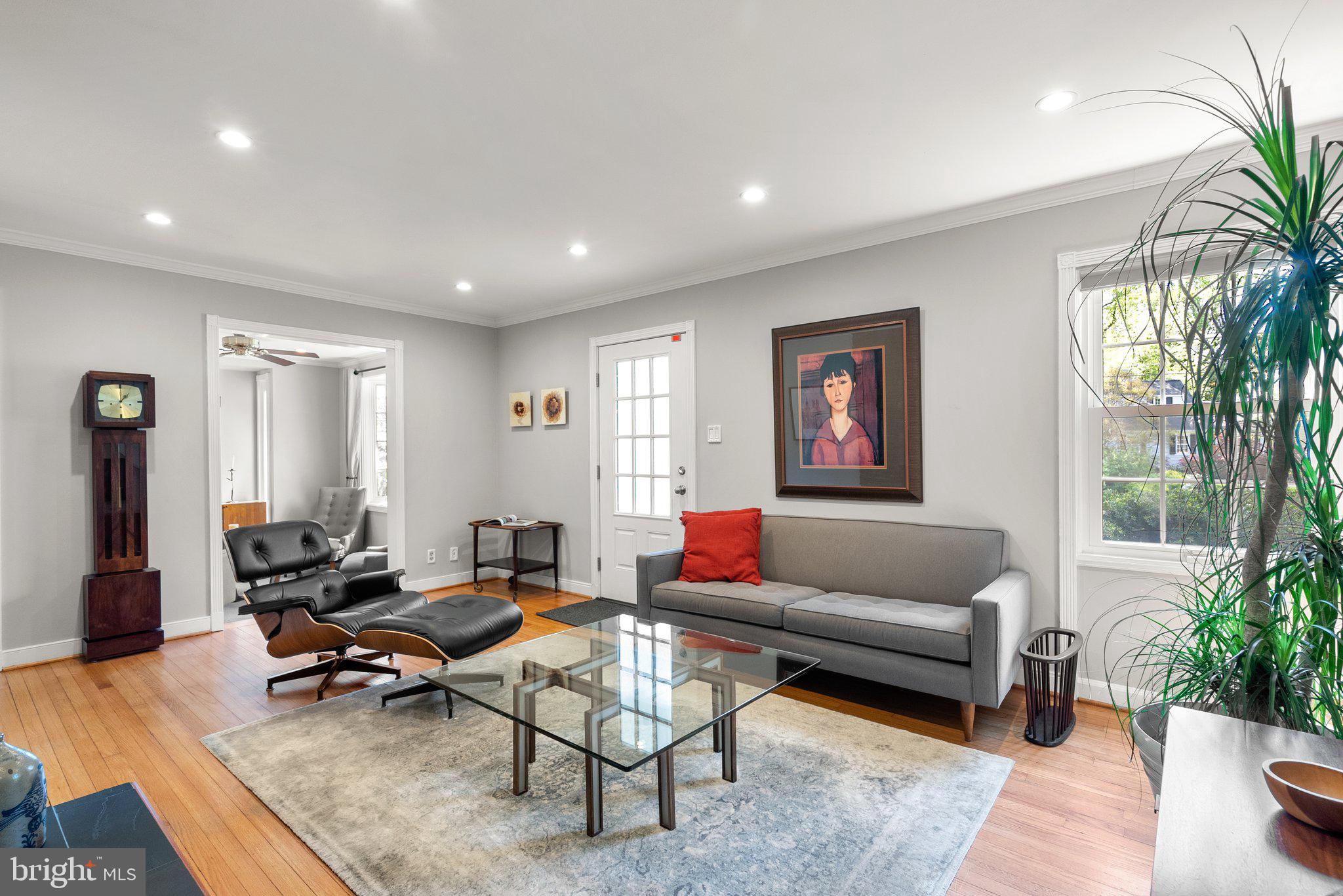 507 Ellsworth Drive Silver Spring, MD 20910 - Photo 6 of 42 a living room with furniture and a potted plant