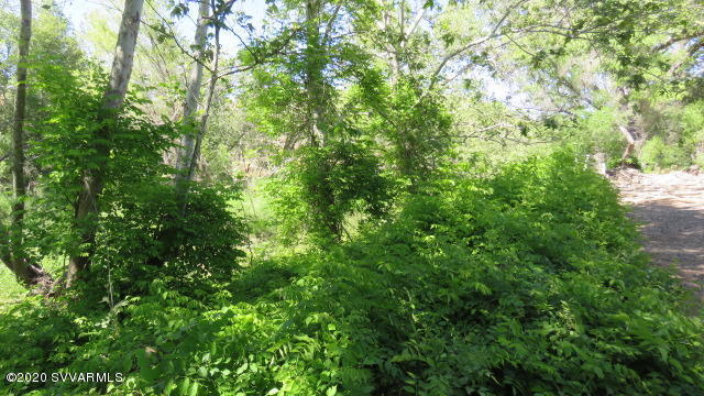 3360 East Rimrock Drive Rimrock, AZ 86335 - Photo 24 of 41 lush and green in the summer