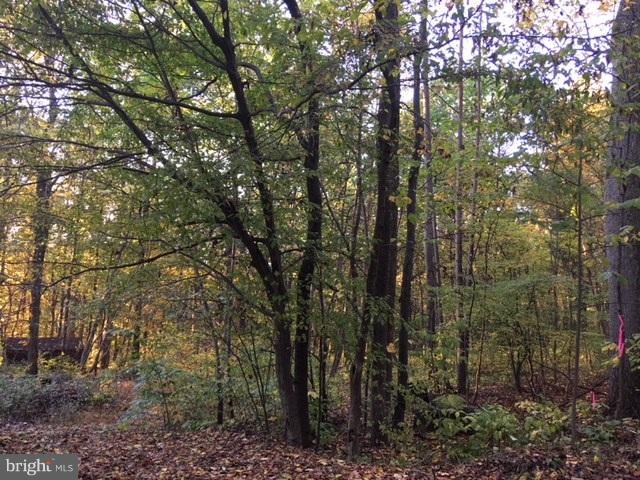 90 High Top Road Linden, VA 22642 - Photo 2 of 6 View