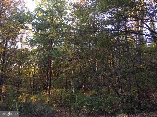 90 High Top Road Linden, VA 22642 - Photo 6 of 6 View