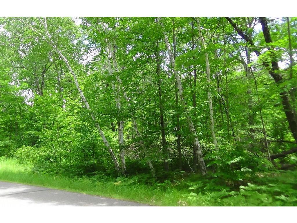 Lot 2 Bonnie Lakes Road Crosslake, MN 56442 - Photo 1 of 1 Gallery Image 1