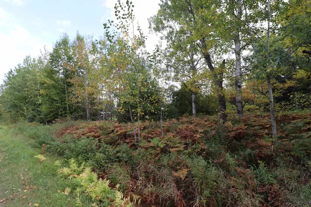 $79,900 | 828-xx White Birch Road, Port Wing, WI 54865