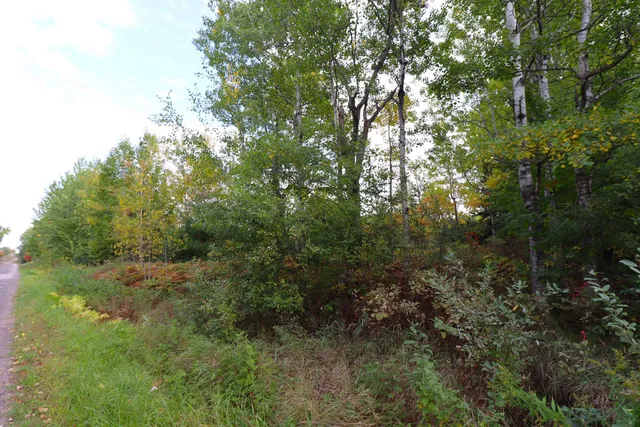 $79,900 | 828-xx White Birch Road, Port Wing, WI 54865