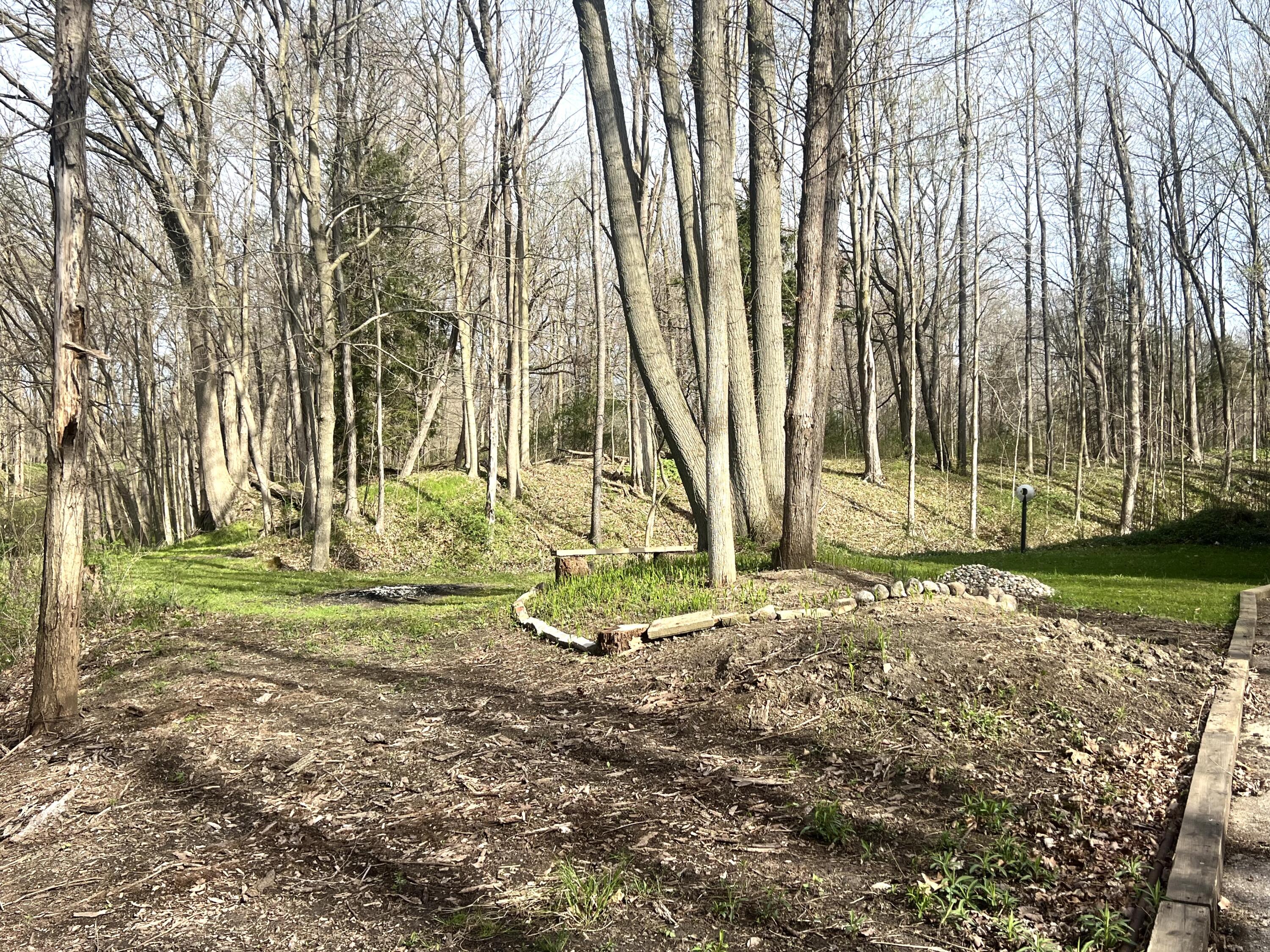 4828 Thar Road Coloma, MI 49038 - Photo 35 of 39 View from Driveway