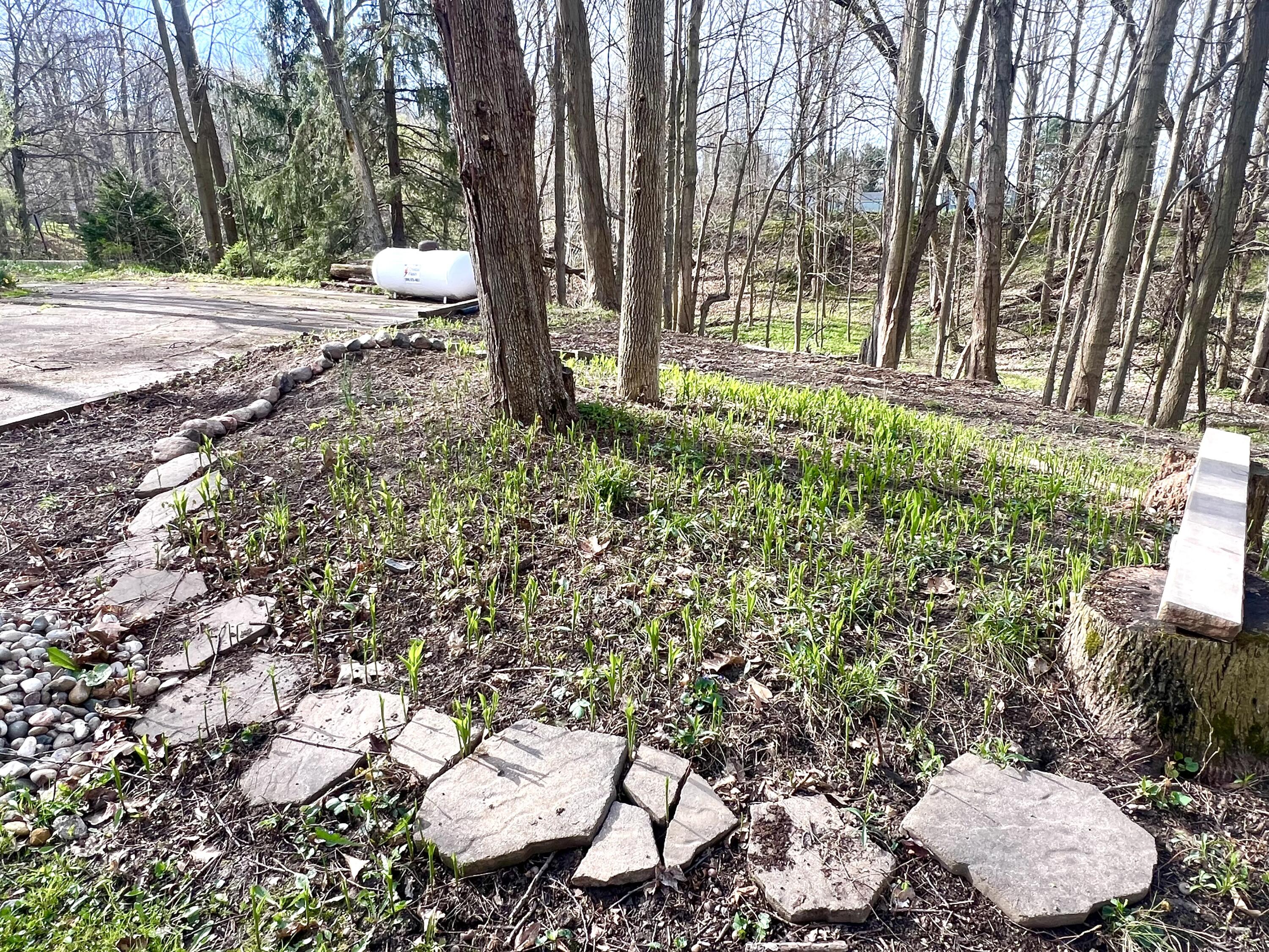 4828 Thar Road Coloma, MI 49038 - Photo 36 of 39 Flower Bed