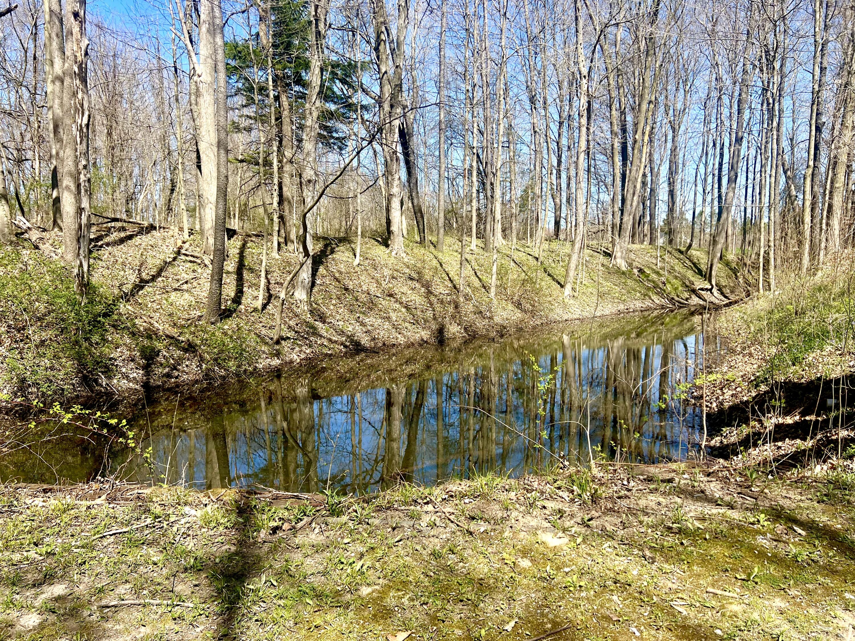 4828 Thar Road Coloma, MI 49038 - Photo 38 of 39 Pond