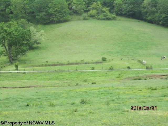 0 Clifton Run Road Kerens, WV 26276 - Photo 8 of 11 Gallery Image 8
