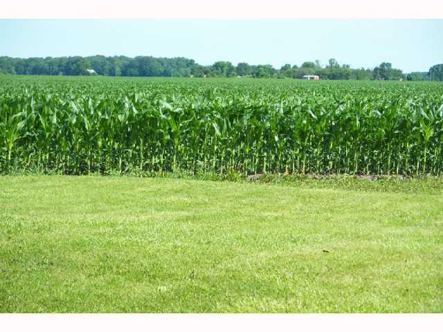 4529 Shoemaker Road Ashley, OH 43003 - Photo 3 of 3