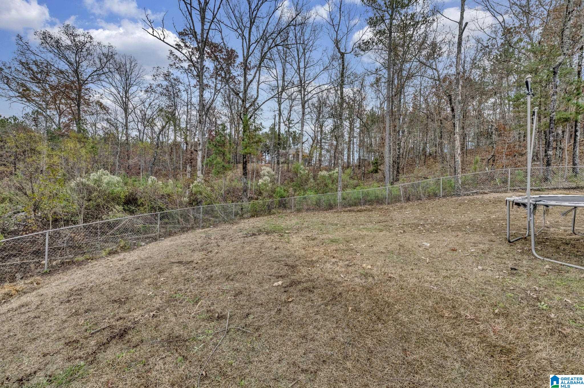 2610 Armstrong Loop Hayden, AL 35079 - Photo 23 of 26