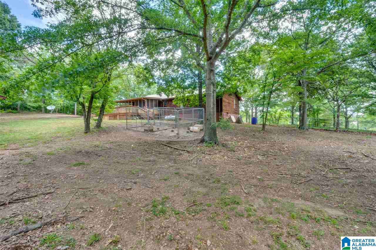 349 County Road 265 Clanton, AL 35046 - Photo 35 of 50