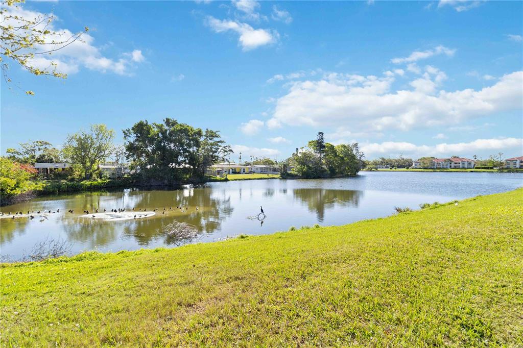 1050 Villagio Circle, Unit 206 Sarasota, FL 34237 - Photo 40 of 57 a view of a lake with a big yard