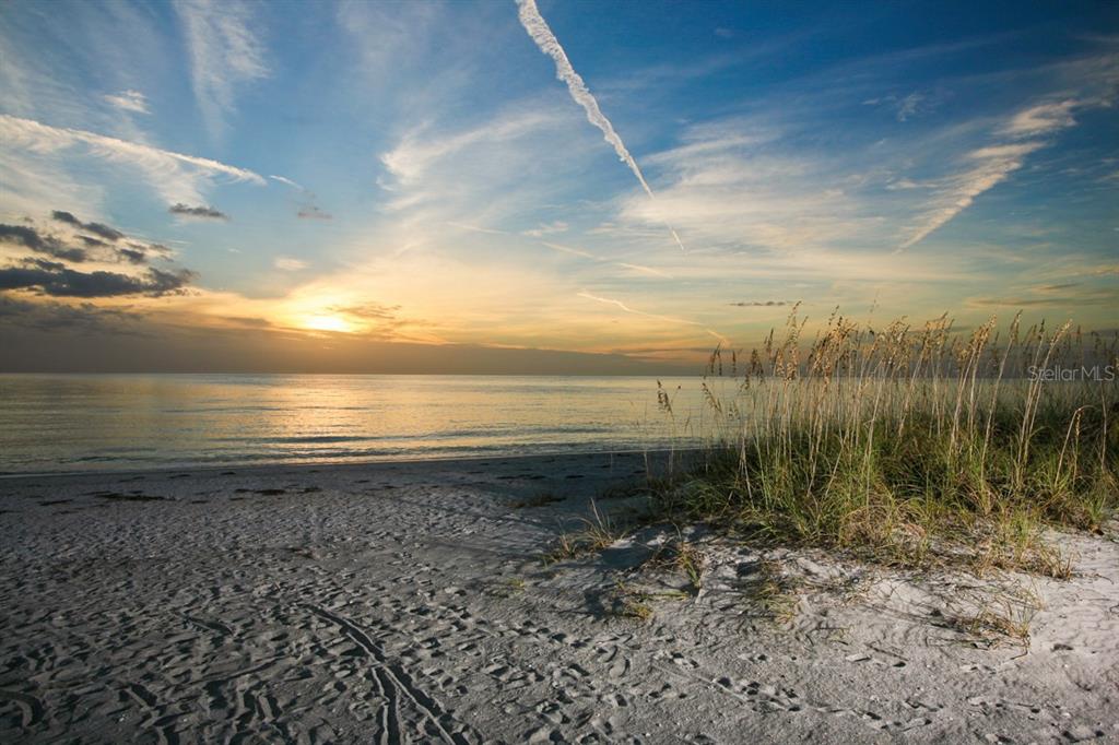 1050 Villagio Circle, Unit 206 Sarasota, FL 34237 - Photo 54 of 57 a view of an ocean beach