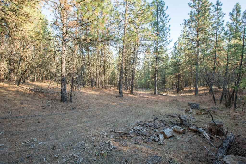 15800 North Austin Road Spokane, WA 99208 - Photo 1 of 8