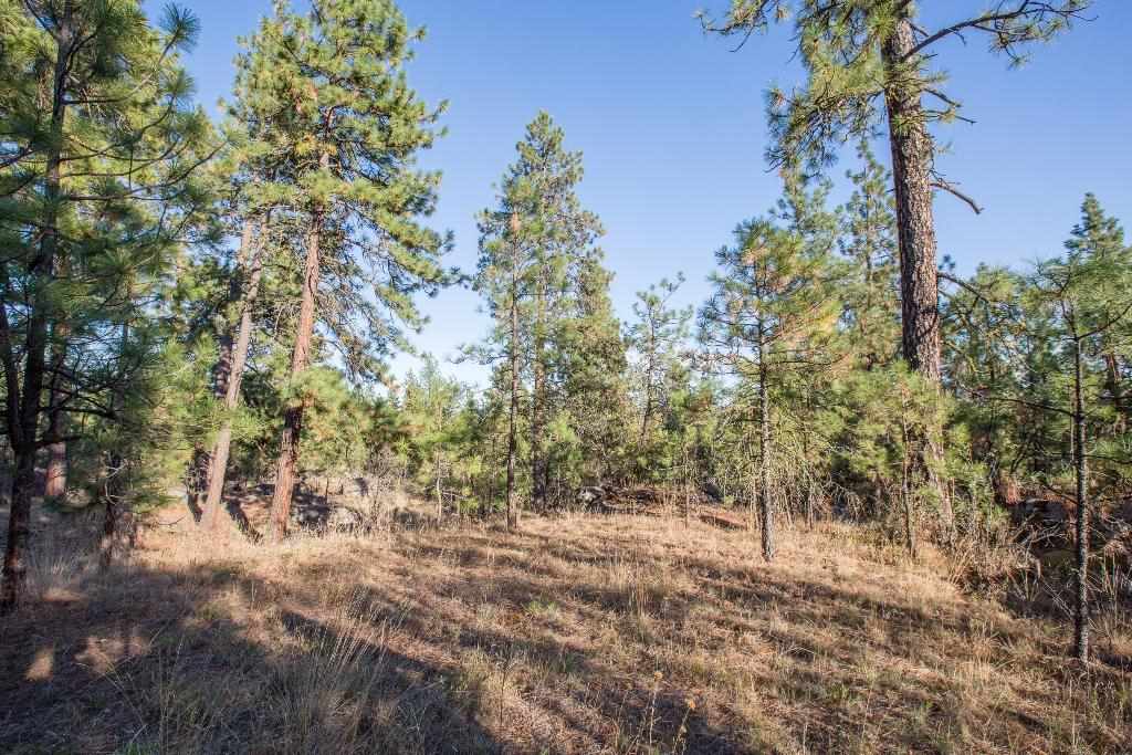 15800 North Austin Road Spokane, WA 99208 - Photo 2 of 8