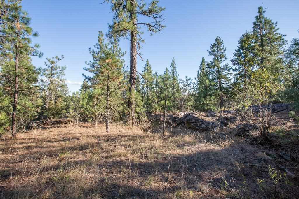 15800 North Austin Road Spokane, WA 99208 - Photo 3 of 8