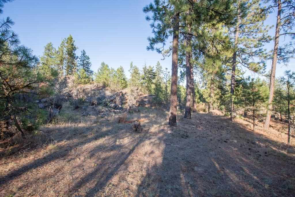 15800 North Austin Road Spokane, WA 99208 - Photo 4 of 8