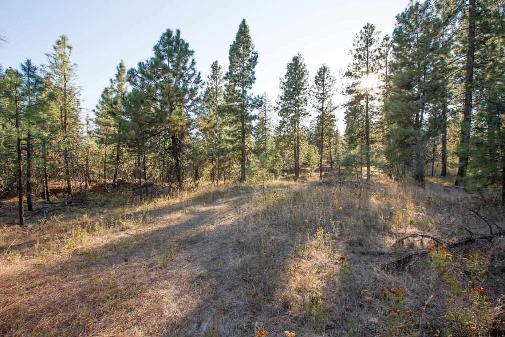 15800 North Austin Road Spokane, WA 99208 - Photo 5 of 8