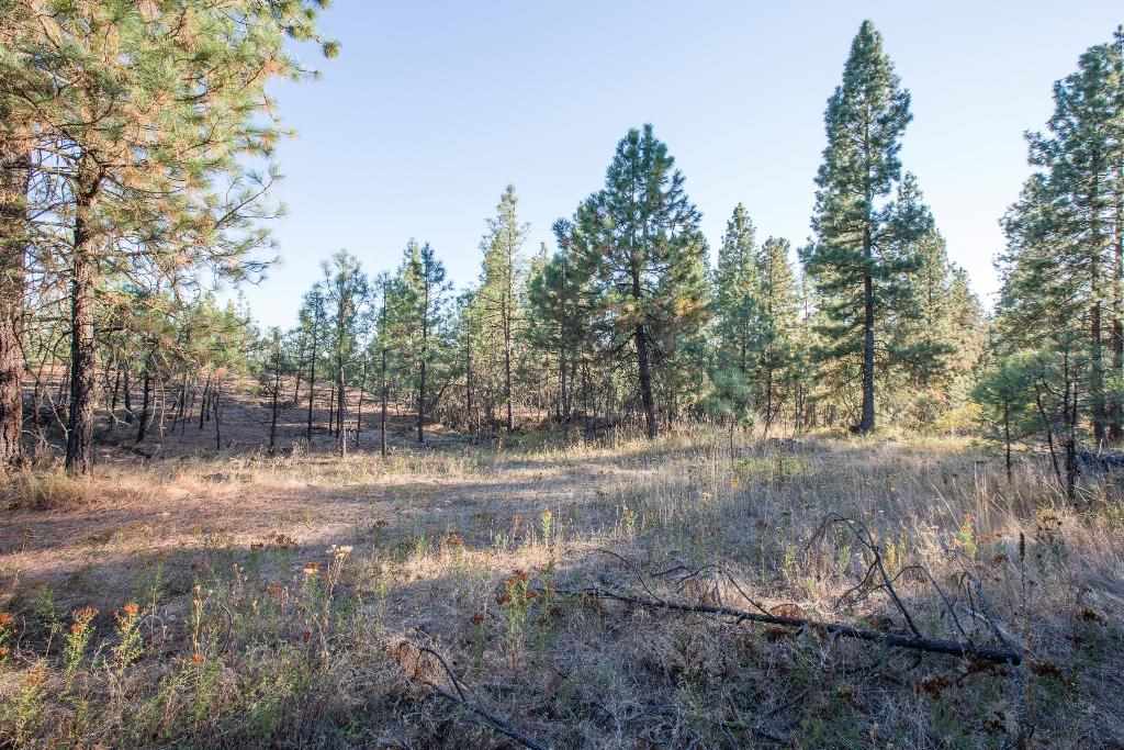 15800 North Austin Road Spokane, WA 99208 - Photo 6 of 8