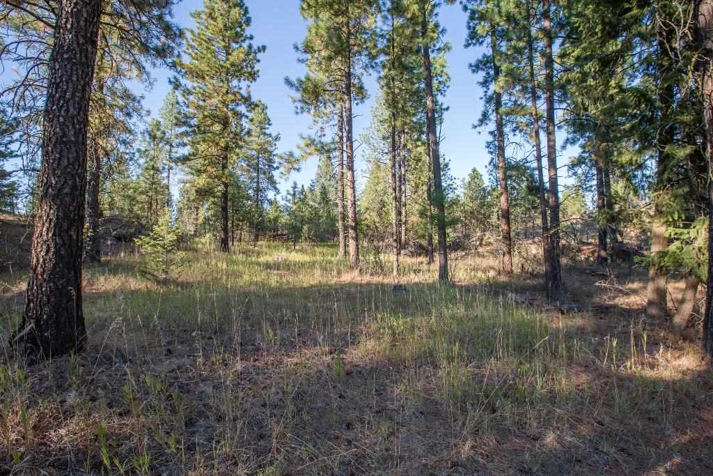 15800 North Austin Road Spokane, WA 99208 - Photo 7 of 8