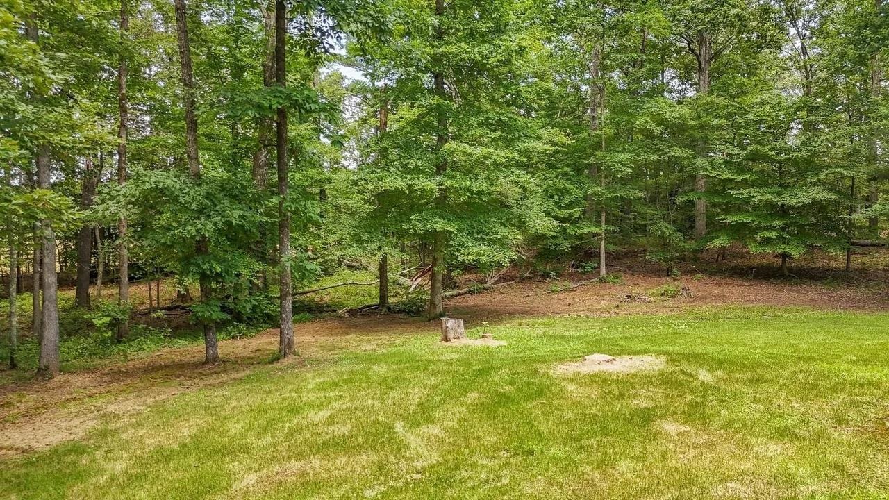 2134 Otis Plunk Road Bethel Springs, TN 38315 - Photo 34 of 35 a view of a yard with a tree