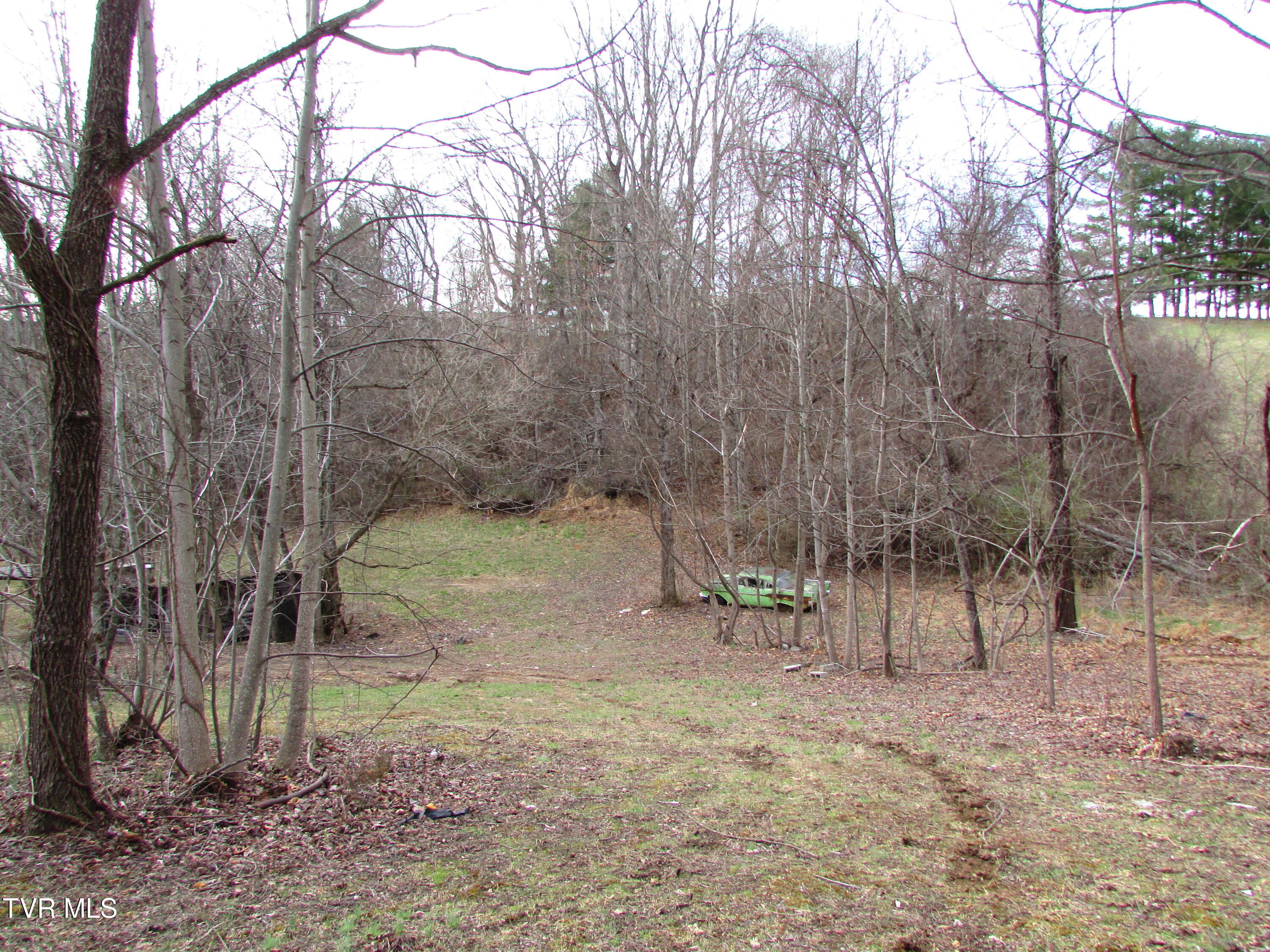 384 Minton Hollow Road Elizabethton, TN 37643 - Photo 13 of 20 IMG_1812