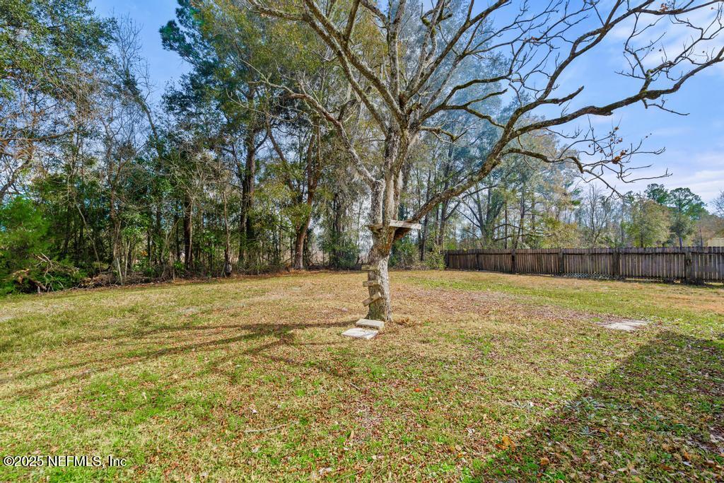 54074 Charles Street Callahan, FL 32011 - Photo 50 of 52 a view of backyard with green space