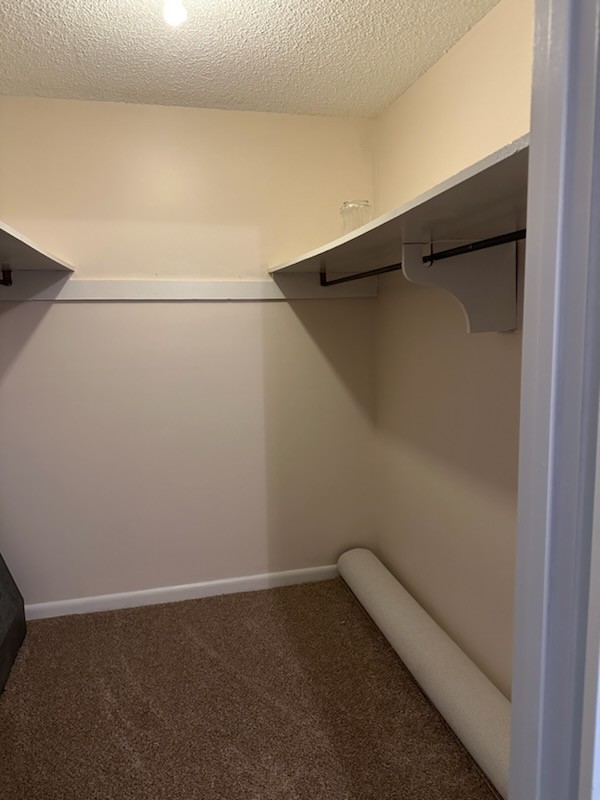 169 Maxwell Branch Road Cottontown, TN 37048 - Photo 16 of 31 a view of a small space