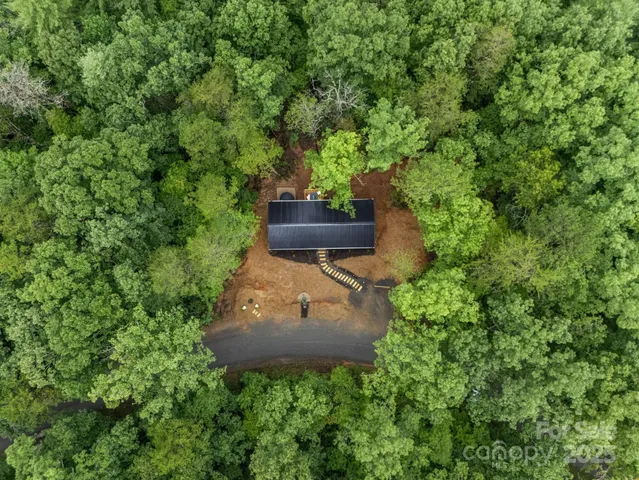 a view of a tree in a backyard of a house