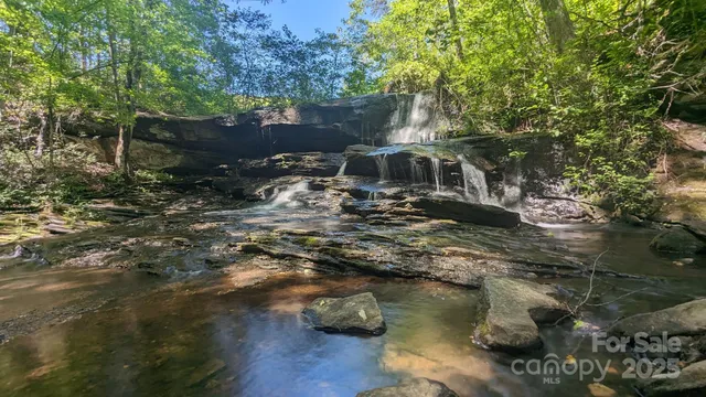 a view of swimming pool with lawn chairs and plants