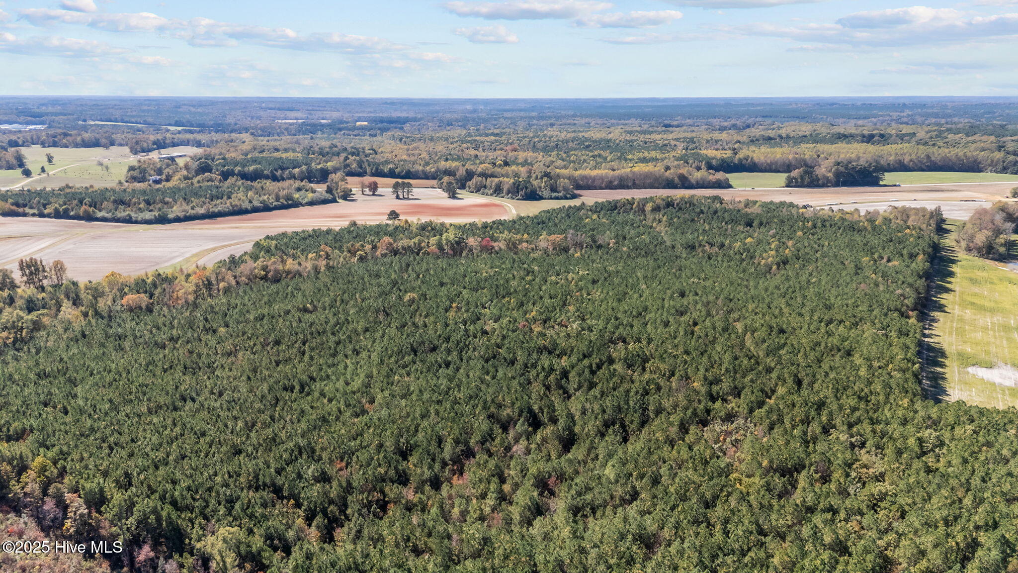 0 Nc 43 Whitakers, NC 27891 - Photo 11 of 17 11-web-or-mls-DJI_20251024135221_0350_D