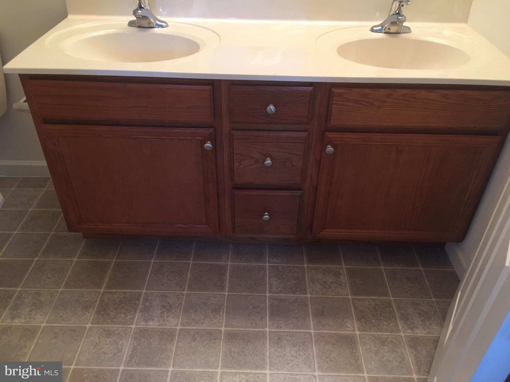588 Fox Ridge Lane Lebanon, PA 17042 - Photo 22 of 43 Master double bowl sink