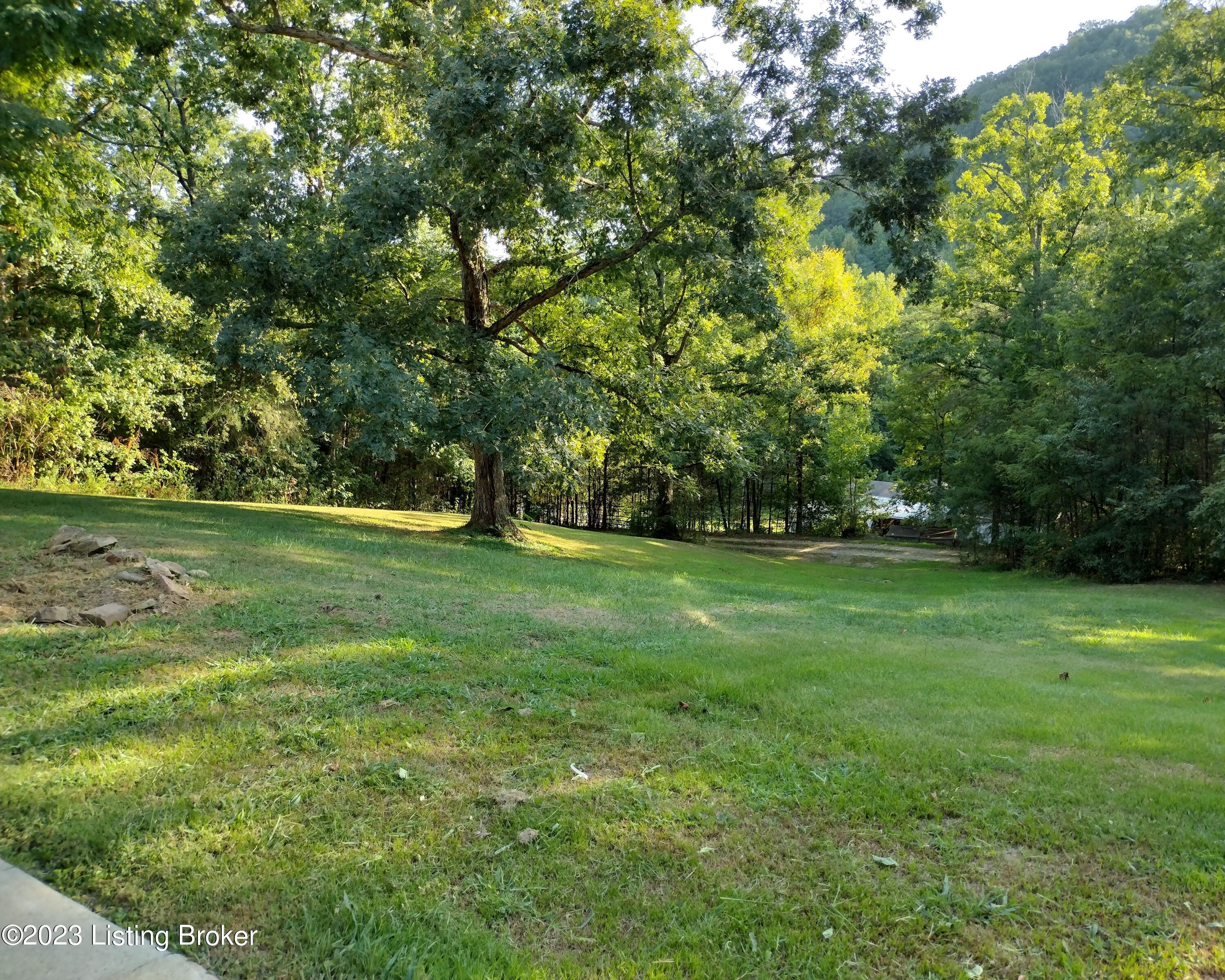 333 Buckman Hollow Road Shepherdsville, KY 40165 - Photo 27 of 35 Front Yard